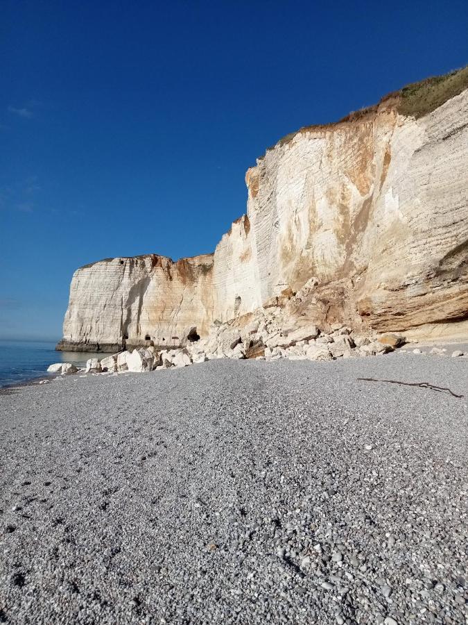 Les Charmes Du Bosquet Parc D'Amour Et Nature Parking Prive Securise Étretat Exteriör bild