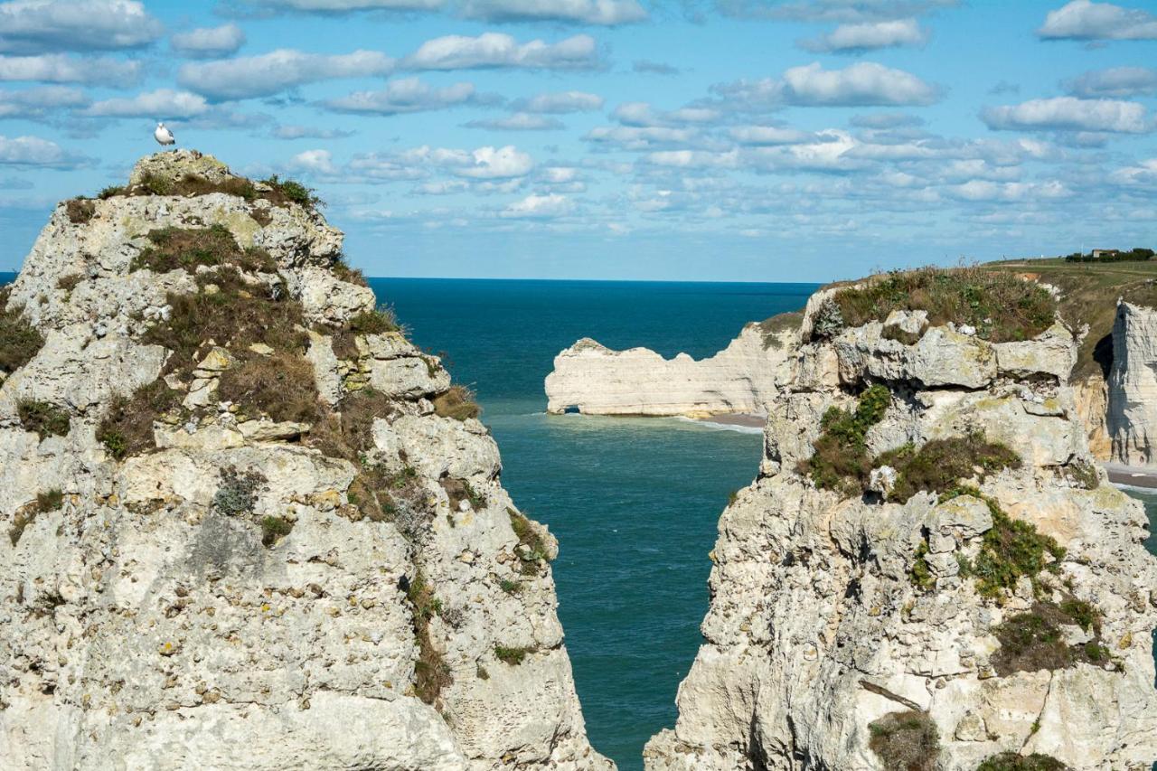 Les Charmes Du Bosquet Parc D'Amour Et Nature Parking Prive Securise Étretat Exteriör bild
